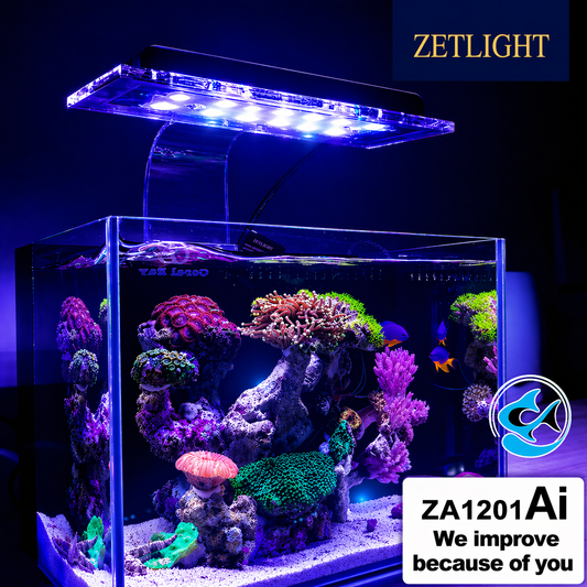 Zetlight ZA1201 AI