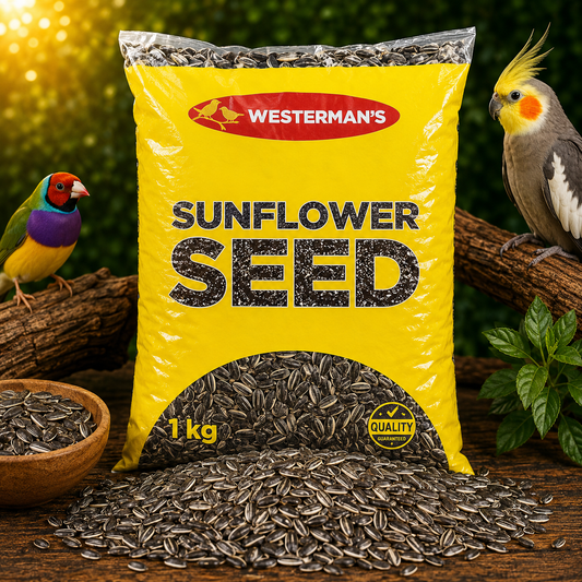 Westermans Black Sunflower Seeds - 2kg