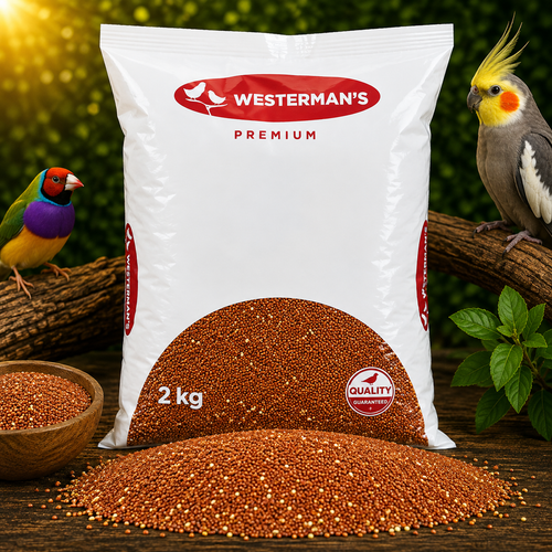 Westermans Red Manna 1kg