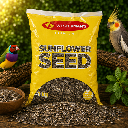 Westerman's Giant Sunflower Seed