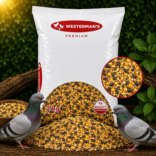 Westermans Pigeon Breeding 1Kg - Discontinued