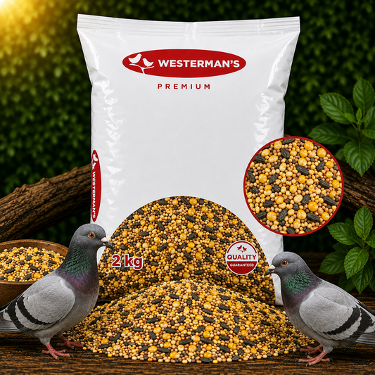 Westermans Pigeon Breeding 1Kg - Discontinued
