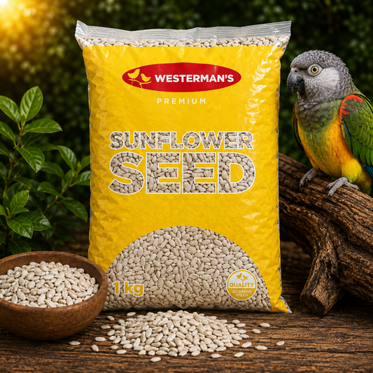 Westwerman's White Sunflower Seed
