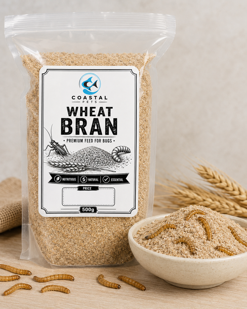 Coastals Original Wheat Bran For Insects 500g