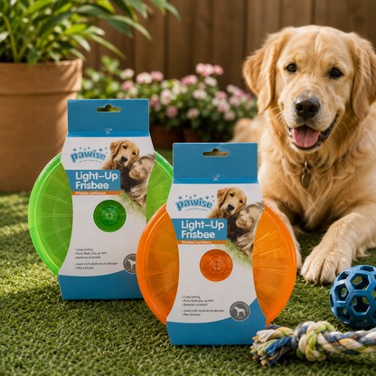Pawise Light Up Frisbee