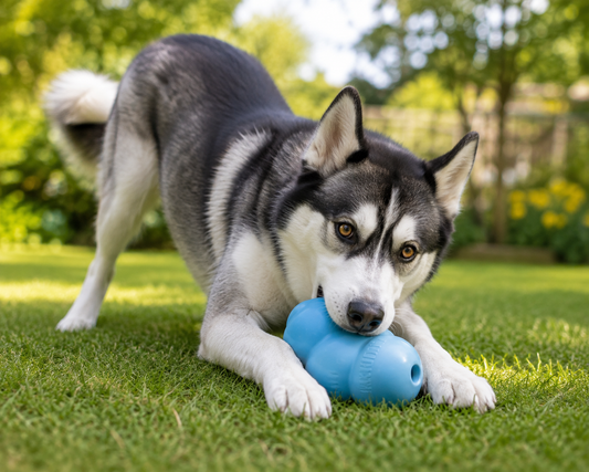 Kong Puppy Rubber Toys