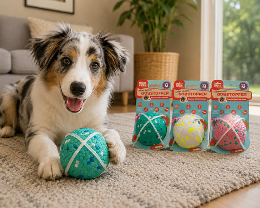 Chewy Doggie Gobstopper