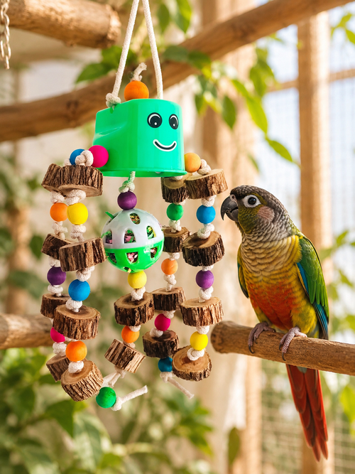 Groovy Chewy Bird Toy