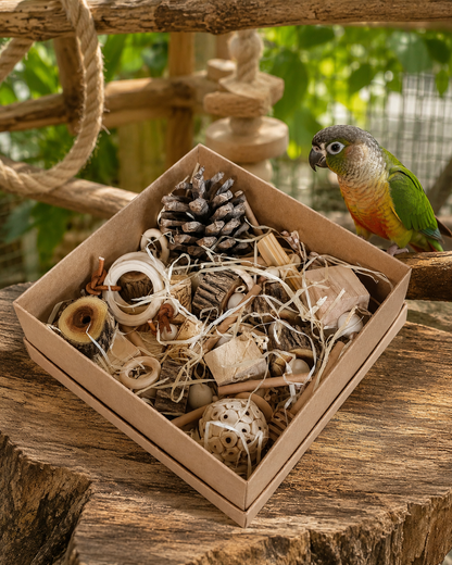 Foraging & Shredding Box