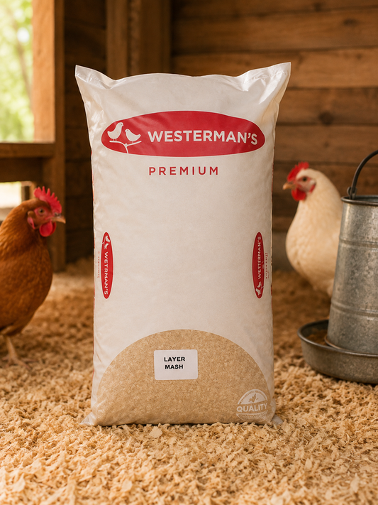 Westermans layer mash 10kg