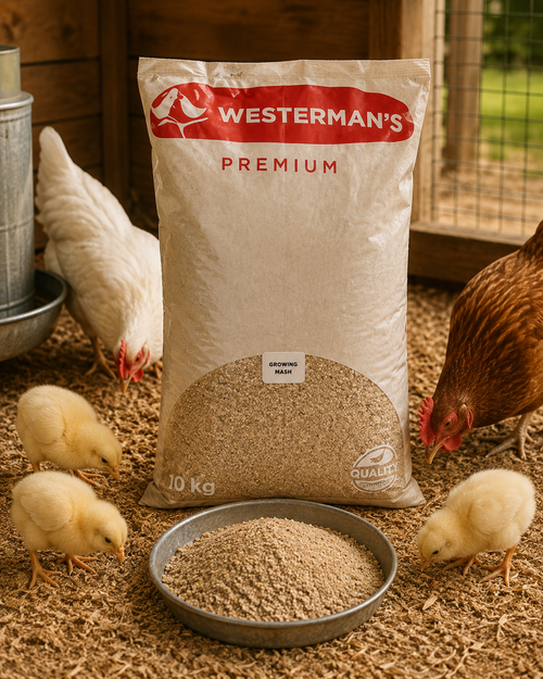 Westerman's Growing Mash 10Kg