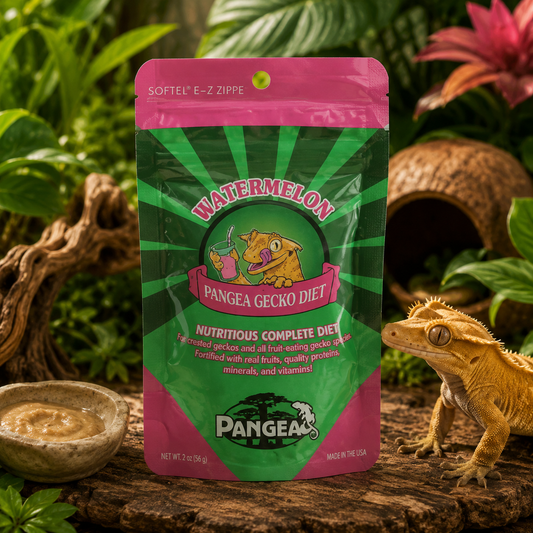 Pangea Gecko Diet