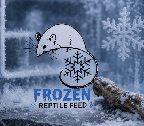 Frozen reptile feed