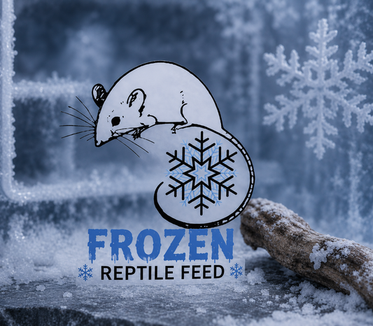Frozen reptile feed