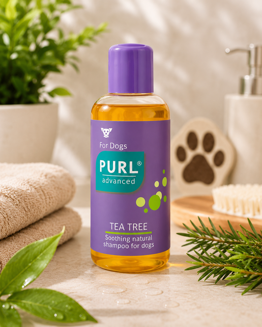 Purl Tea Tree Oil Shampoo / 250ml