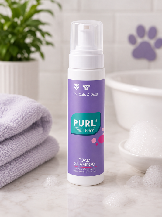 Purl Fresh Foam Shampoo
