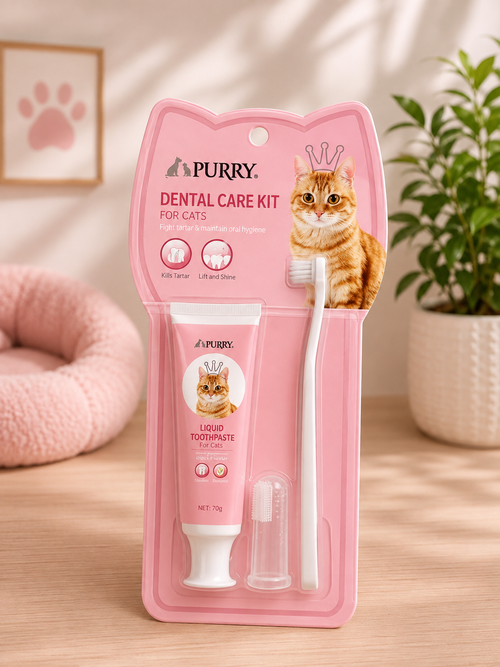 Purry Dental Kit For Cats