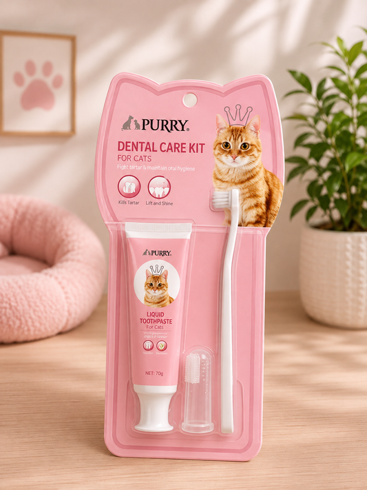 Purry Dental Kit For Cats