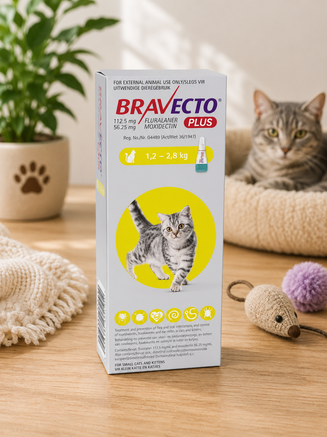 Bravecto Plus Spot On Cat (1.2 - 2.8KG)