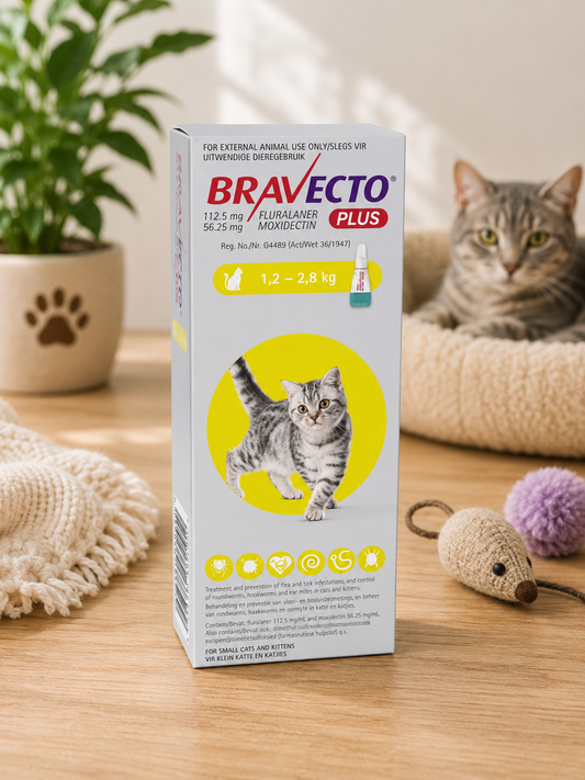 Bravecto Plus Spot On Cat (1.2 - 2.8KG)
