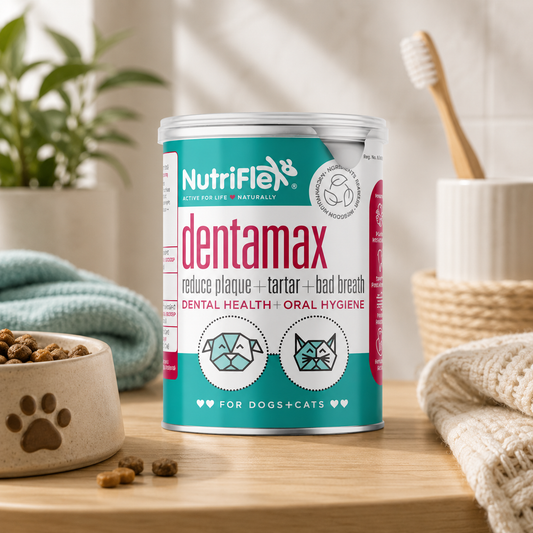 Nutriflex Dentamax Powder 180g