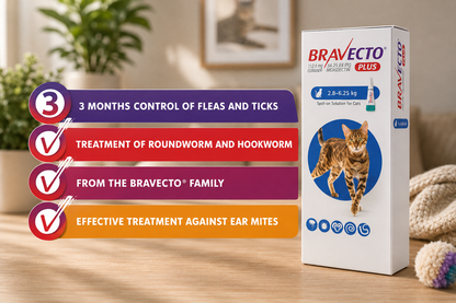 Bravecto  Plus Cat 2.8-6.25Kg Spot On *3 Month Treatment