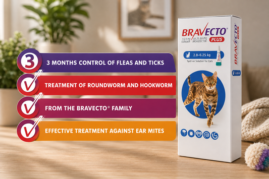 Bravecto  Plus Cat 2.8-6.25Kg Spot On *3 Month Treatment