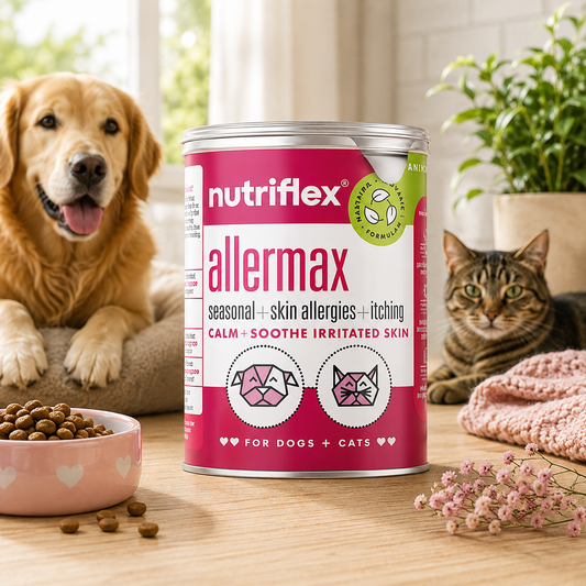 Nutriflex Allermax 180g