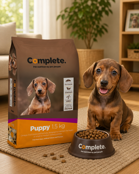Complete Puppy