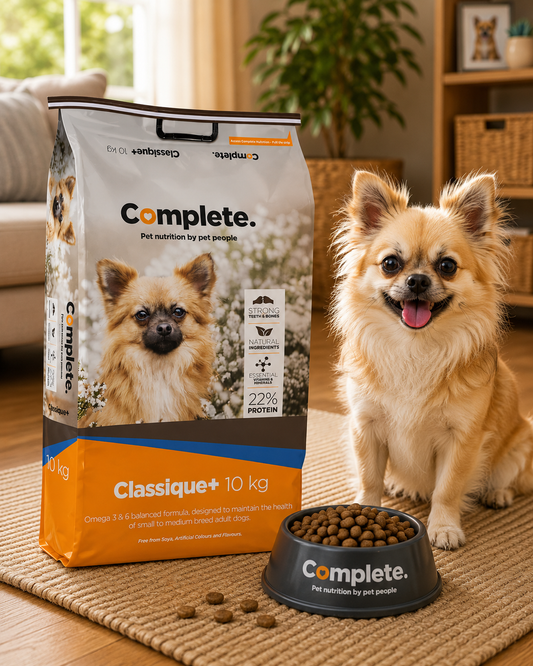 Complete Classique Small-Medium Breed Adult