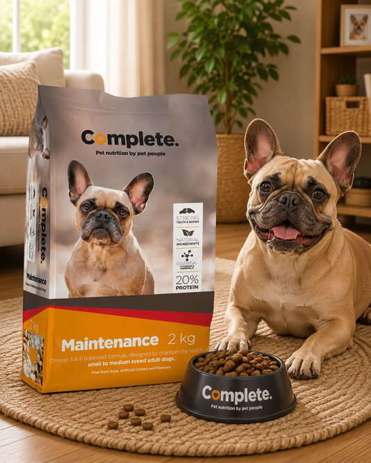 Complete Maintenance Small-Medium Breed Adult