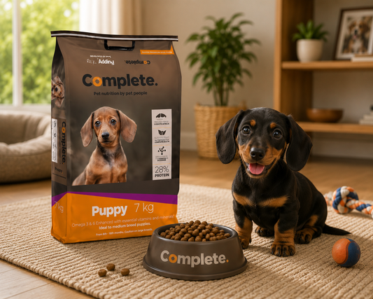 Complete Puppy Small-Med 7kg