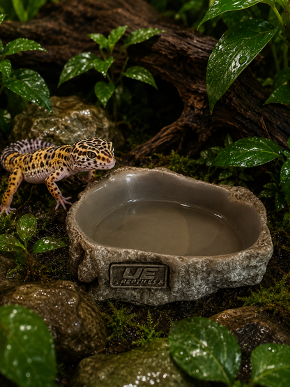 UE Rock Water Bowls