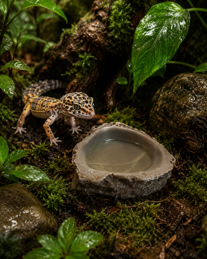 UE Rock Water Bowls