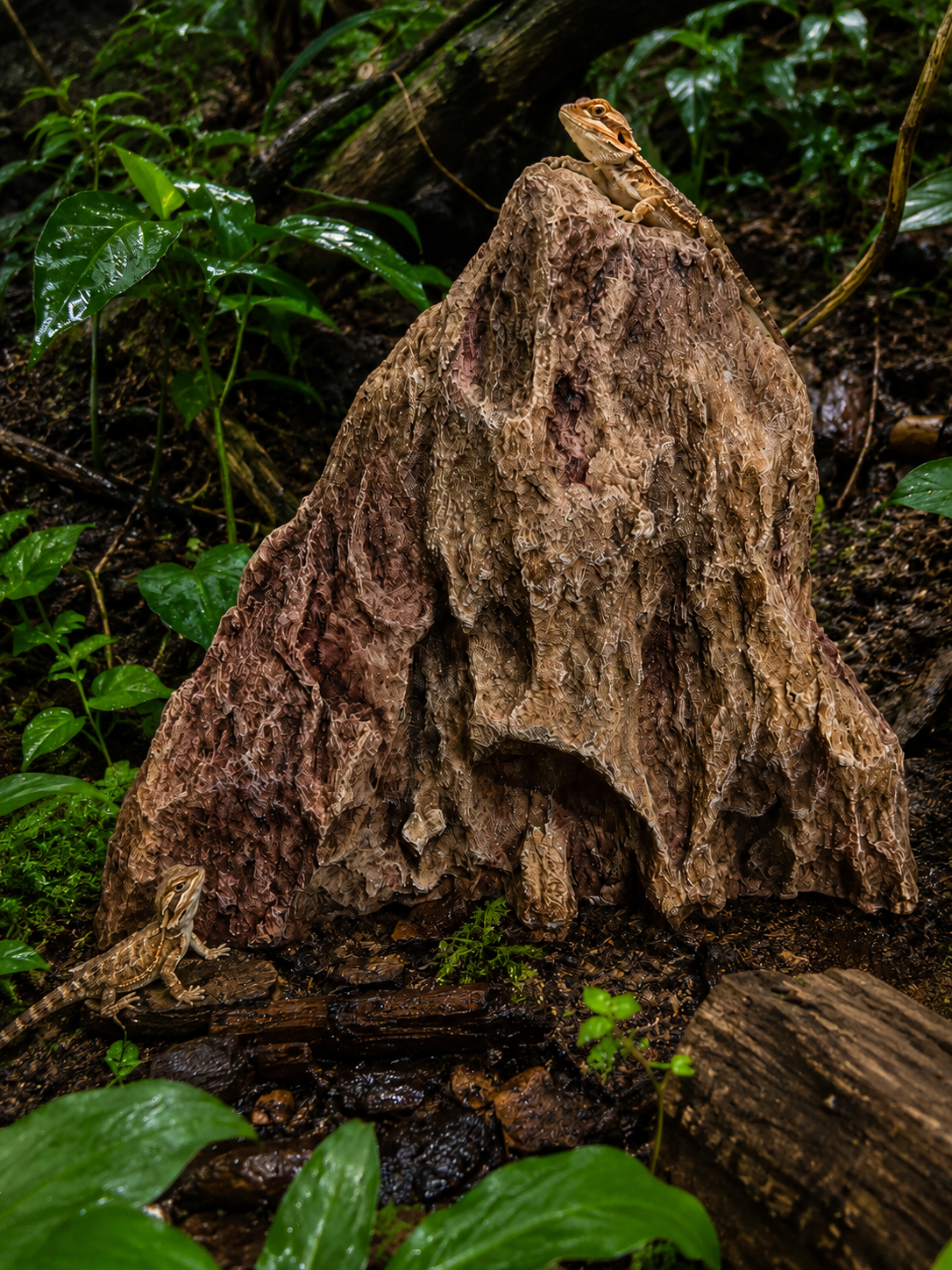UE Artificial Rock