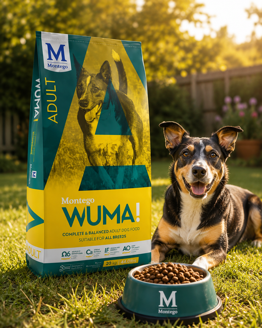 Montego Wuma Adult - 20kg