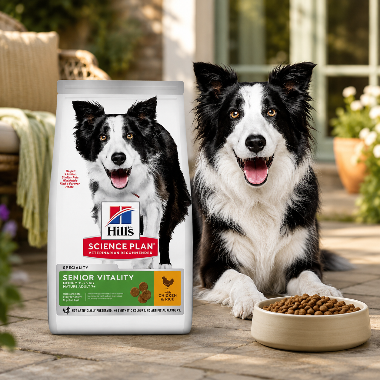 Hill’s Science Plan Adult 7+ Senior Vitality Medium Dry Dog Food Chicken Flavour