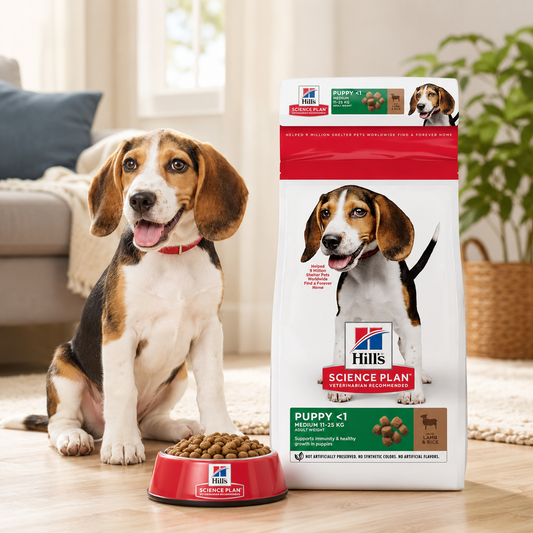 Hill’s Science Plan Puppy Medium Dry Dog Food Lamb & Rice Flavour