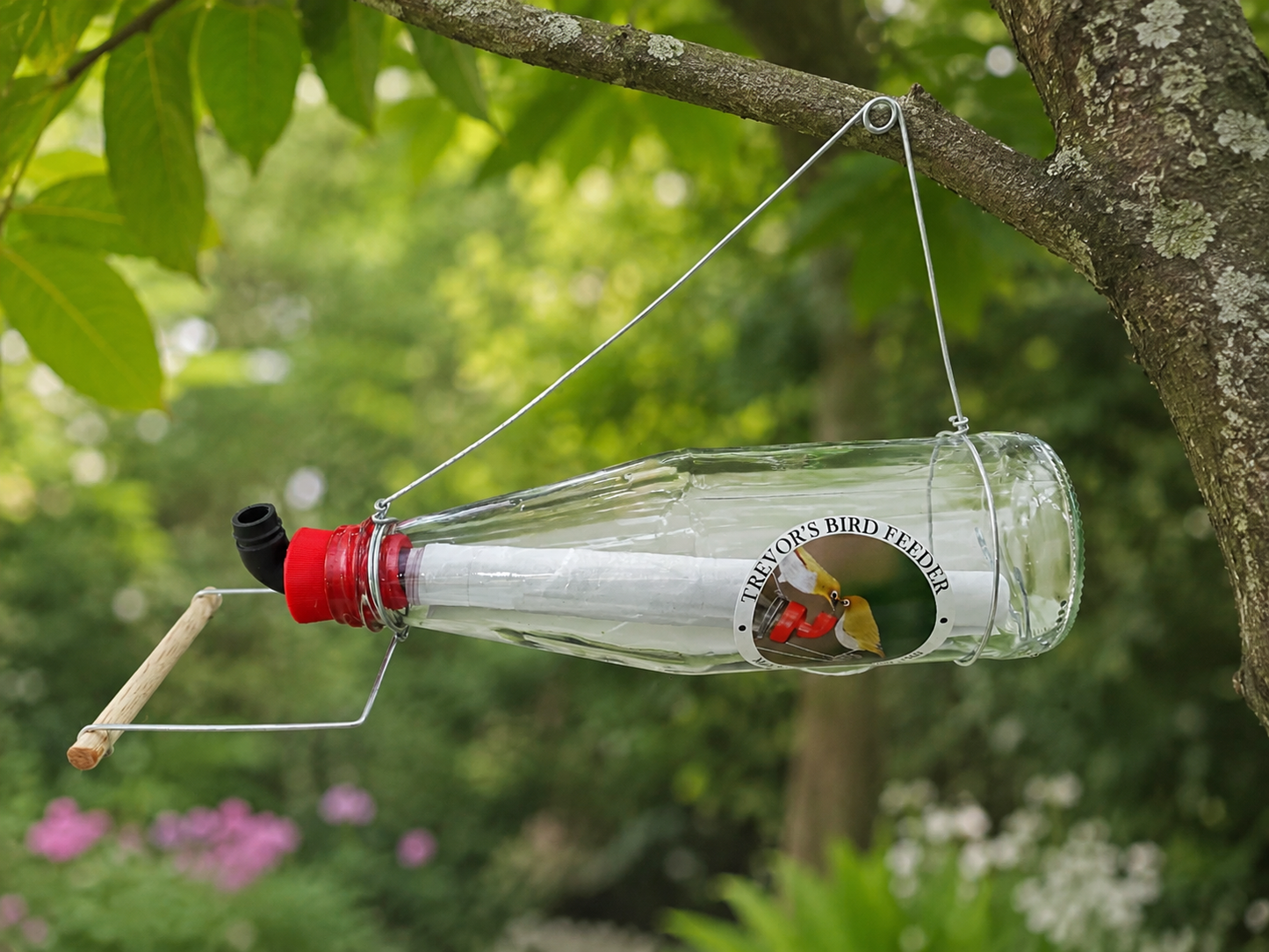 Trevors' Glass Bird Nectar Feeder