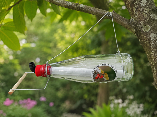 Trevors' Glass Bird Nectar Feeder