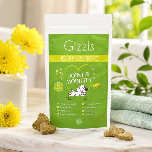 Gizzls Joint & Mobility CBD Dog Treats (M/L Breed)