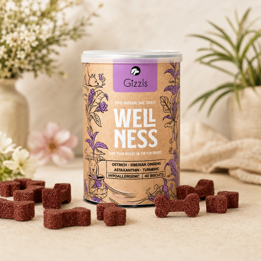 Gizzls Wellness Dog Biscuits