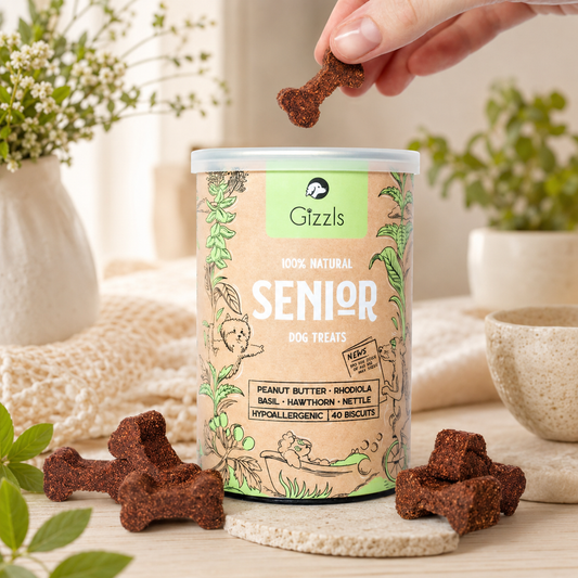 Gizzls Senior Dog Biscuits