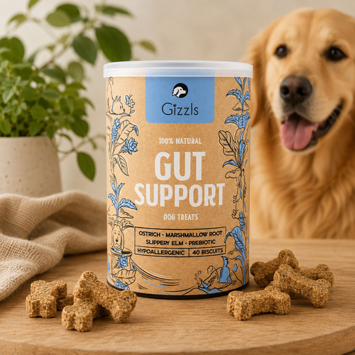 Gizzls Gut Support Dog Biscuits 180g
