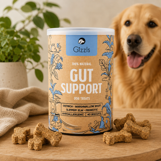 Gizzls Gut Support Dog Biscuits 180g