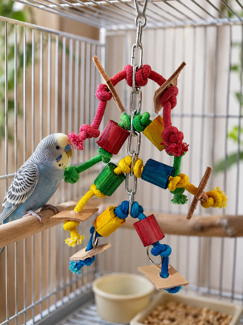 Jerry Jumble Bird Toy