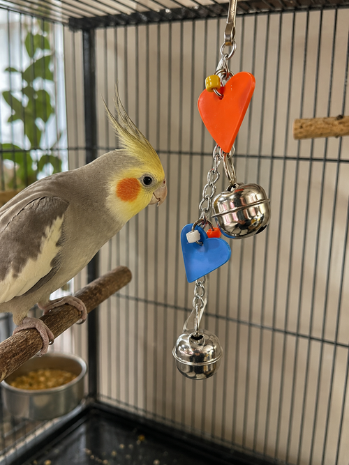 Two Bell & Toy Bird Toy