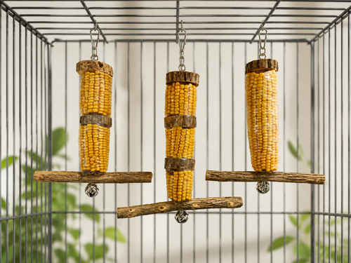 Mealie Bird Toy