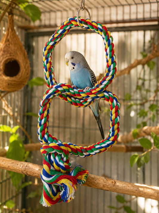 PW Double Hexagonal Rainbow Rope Swing