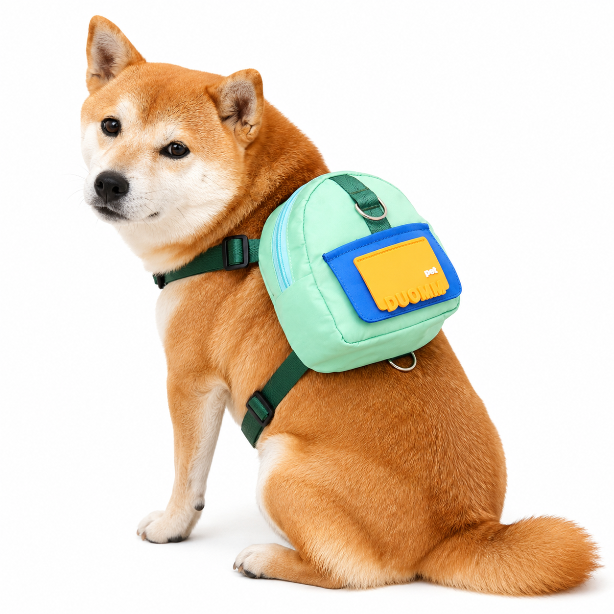 Dog Backpack Harness & Leash Set
